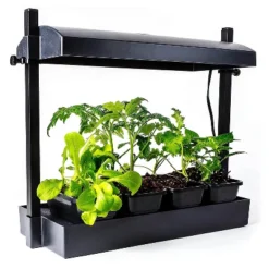 SunBlaster 1600218 T5HO Indoor Canopy Micro Grow Light Garden System With 1, 12-Inch 11-Watt 6400K Strip Light & 1 NanoTech T5 Reflector, Black 5 SunBlaster 1600218 T5HO Indoor Canopy Micro Grow Light Garden System With 1, 12-Inch 11-Watt 6400K Strip Light & 1 NanoTech T5 Reflector, Black -Garden Furniture Store GUEST 02dc1883 af79 4b04 bbf7 467ddc3ca9fc