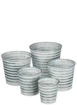 Sullivans Set Of 5 Pail Planter 4"H, 4.5"H, 5.25"H, 6"H & 7"H Gray 7 Sullivans Set Of 5 Pail Planter 4"H, 4.5"H, 5.25"H, 6"H & 7"H Gray -Garden Furniture Store GUEST 0921cf7c d637 41fe 917e 41076f6abe5b