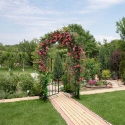 Costway Garden Arch Arbor Trellis With Gate 7.5 Ft Patio Archway Pergola For Wedding 11 Costway Garden Arch Arbor Trellis With Gate 7.5 Ft Patio Archway Pergola For Wedding -Garden Furniture Store GUEST 0c890e14 7a7e 481b 831b caf9f5e8ef0a