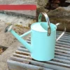 Homarden 1 Gallon Metal Watering Can With Removable Spout, Teal
