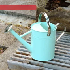 Homarden 1 Gallon Metal Watering Can With Removable Spout, Teal