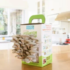 Back To The Roots Organic Mushroom Mini Grow Kit Pearl Oyster -Garden Furniture Store GUEST 14af7100 855c 4d85 be8b ca6ce390920d