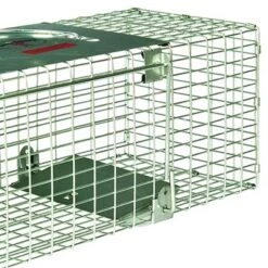 Little Giant LT1 18 Inch Galvanized Wire Mesh And Reinforced Steel Live Trap With Single Door Entry For Human And Secure Animal Removal 5 Little Giant LT1 18 Inch Galvanized Wire Mesh And Reinforced Steel Live Trap With Single Door Entry For Human And Secure Animal Removal -Garden Furniture Store GUEST 196c2a87 45d6 4bbf b8a4 1244a8018ae7