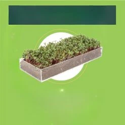 Window Garden Microgreens Grow Kit - Hydroponic Growing Kit