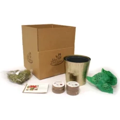 Amaryllis Kit Red Lion Bulb With Iron Brass Fluted Large Planter - Van Zyverden -Garden Furniture Store GUEST 1a829df3 fedd 4979 99c4 45172f65ff76