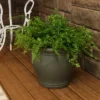 Sunnydaze Decor Sunnydaze Studio Outdoor/Indoor UV- And Frost-Resistant Ceramic Flower Pot Planter With Drainage Holes