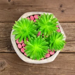 Garden Stones-500 Count Glow In The Dark Solar Pathway Pebble Lights-Decorative Glowing Rocks By Nature Spring (Yellow) -Garden Furniture Store GUEST 2cb44203 cb3a 478f 8d2d 570a4555aca8