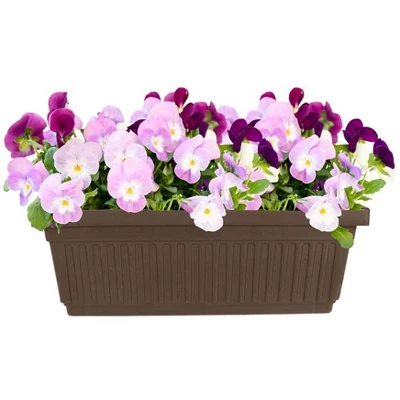 HC Companies 30-Inch Fluted Plastic Venetian Flower Box For Flowers, Vegetables, Or Succulents 2 HC Companies 30-Inch Fluted Plastic Venetian Flower Box For Flowers, Vegetables, Or Succulents - Image 2