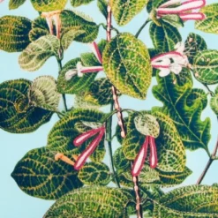 20" X 20" Leafy Floral Square Patio Throw Pillow - New York Botanical Garden 6 20" X 20" Leafy Floral Square Patio Throw Pillow - New York Botanical Garden -Garden Furniture Store GUEST 4498ac48 a060 4442 9b67 2538c76b9f58