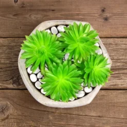 Solar Garden Stones - 500-Pack Glow In The Dark Pathway Pebble Lights - Decorative Glowing Rocks For Flowerbeds And Walkways By Pure Garden (Blue) 8 Solar Garden Stones - 500-Pack Glow In The Dark Pathway Pebble Lights - Decorative Glowing Rocks For Flowerbeds And Walkways By Pure Garden (Blue) -Garden Furniture Store GUEST 457e802c d9a7 44ca 9b2f d98f2f84edc0