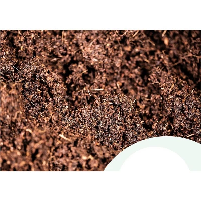 Window Garden 20 Cavity Seed Propagation Kits - 2 Pack 2 Window Garden 20 Cavity Seed Propagation Kits - 2 Pack - Image 2