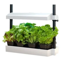 SunBlaster SL1600219 Growlight Micro Sized Complete LED Powered Indoor Garden Stand System, White -Garden Furniture Store GUEST 63c0b5c2 c7fd 4ff7 ad48 a8bf791ac237