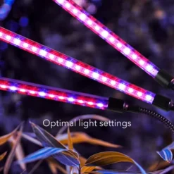 Dartwood LED Grow Lights For Indoor Plants With Red Blue Spectrum - Plant Grow Light With 9 Brightness Levels, Auto On Off Function -Garden Furniture Store GUEST 64e7f763 cf31 4488 8e7b 2876844a1da3