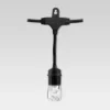 24ct Classic Café Outdoor String Lights Integrated LED Bulb - Black Wire - Enbrighten