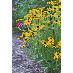 18" X 24" Jardin Half-Round Supports, Set Of 2