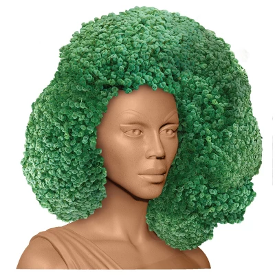 NECA RuPaul Chia Pet - Signed 1 NECA RuPaul Chia Pet - Signed