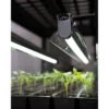 LED Stack-n-Grow Light Stand Base Unit Full Spectrum Grow Light For Seed Starting And Indoor Plants - Gardener's Supply Company
