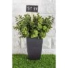 Juvale 24 Pack Plant Marker, Wood Garden Stakes With Chalkboard, Herb Marker Signs, Labels, Tags For Field, Potted Flower