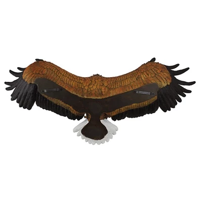 Design Toscano Freedom's Pride American Eagle Wall Sculpture - Large, Multicolored 4 Design Toscano Freedom's Pride American Eagle Wall Sculpture - Large, Multicolored - Image 4