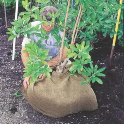 DeWitt NAT4300 4 X 300 Ft All Natural Organic Biodegradable Paper Mulch Garden Weed Control Barrier 7 DeWitt NAT4300 4 X 300 Ft All Natural Organic Biodegradable Paper Mulch Garden Weed Control Barrier -Garden Furniture Store GUEST b442a65b acf5 4154 a557 05faf91953c2