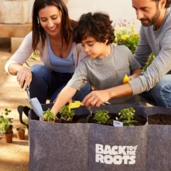 Back To The Roots Organic Raised Bed Gardening Kit With Soil, Seeds, And Plant Food