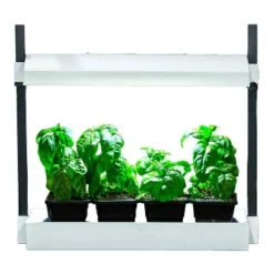 SunBlaster SL1600219 Growlight Micro Sized Complete LED Powered Indoor Garden Stand System, White -Garden Furniture Store GUEST d683960f 63af 4198 864d 74612f387237