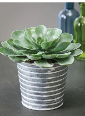 Sullivans Set Of 5 Pail Planter 4"H, 4.5"H, 5.25"H, 6"H & 7"H Gray 2 Sullivans Set Of 5 Pail Planter 4"H, 4.5"H, 5.25"H, 6"H & 7"H Gray - Image 2