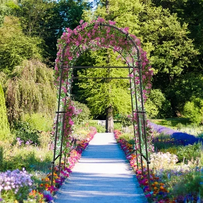 Costway 7.5FT Garden Arch Trellis Outdoor Plant Support Archway For Climbing Vine Flower 1 Costway 7.5FT Garden Arch Trellis Outdoor Plant Support Archway For Climbing Vine Flower
