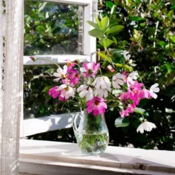 Back To The Roots 5pk Organic USA Flower Seeds -Garden Furniture Store GUEST f4347ac0 4180 4cf1 b5e5 4b29a72da013