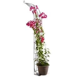 VegTrug™ Slimline Half Arch -Garden Furniture Store GUEST f6d3ae43 33df 426d a38c d6f446a91a78